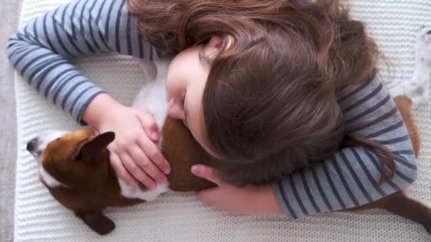 4k. Маленькая девочка обнимает милую чихуахуа-собаку, лежащую в белой постели. — стоковое видео