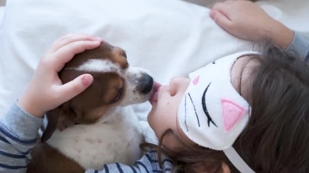 4k. little girl and cute chihuahua dog in eye mask kissing in white bed. — Stock Video