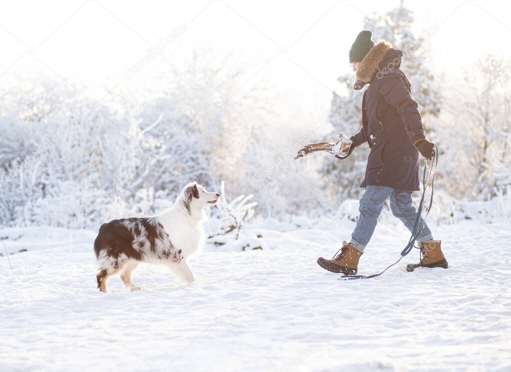 Woman walking with australian shepherd dog in winter forest
