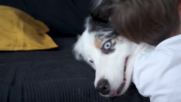 4k. Garçon embrassant jeune berger australien merle couché sur l'entraîneur — Video