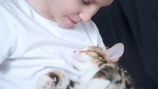 4k. szczęśliwy chłopiec gospodarstwa młody kurilian bobtail kotek z miłością — Wideo stockowe