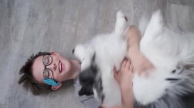 4 bin. Küçük mutlu çocuk yalan söylüyor ve Avustralyalı çoban köpeği sarılıyor. 