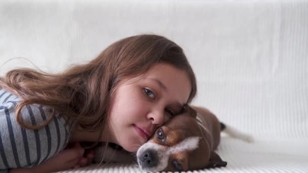 4k. klein meisje met schattig chihuahua hondje liggend in wit bed. Gezicht tegen gezicht. — Stockvideo