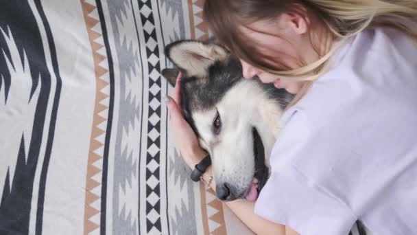 4k. Blanke vrouw ligt met liefde op Alaska Malamute hond. Binnenshuis. — Stockvideo
