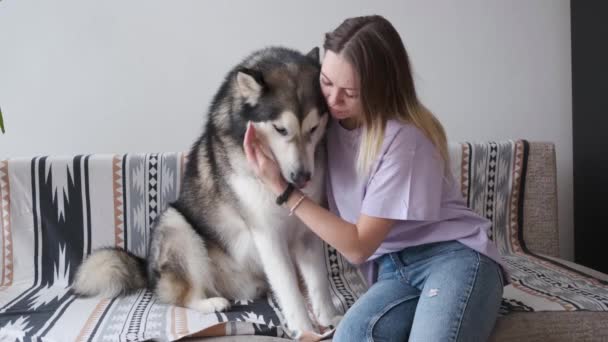 4k. Mulher caucasiana abraçando o cão Malamute do Alasca com amor. Interior. — Vídeo de Stock