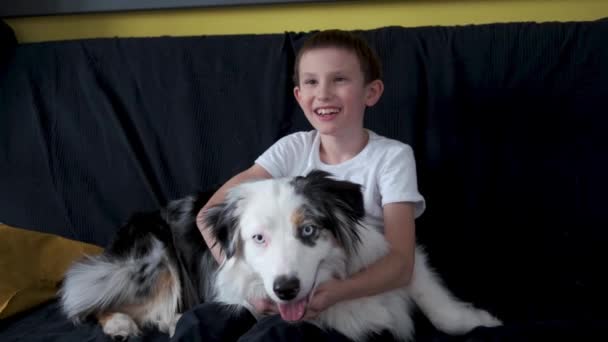 4k. Buon bambino che gioca, abbracciando il cane merle pastore australiano — Video Stock