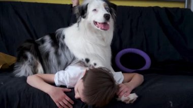 4 bin. Avustralya çoban köpeğiyle oynayan küçük mutlu çocuk. 