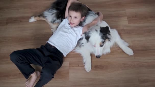 4 bin. Avustralya çoban köpeğinin üzerinde yatan küçük mutlu çocuk. — Stok video