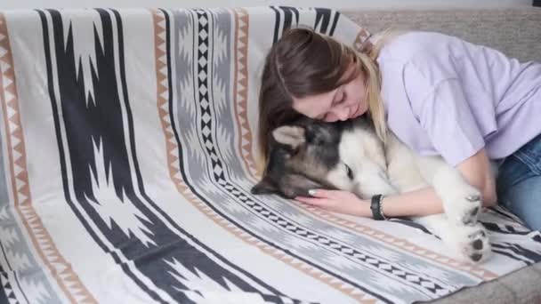 4k. Mujer caucásica, abrazándose acostado en Alaska Malamute perro con amor. De interior. — Vídeos de Stock