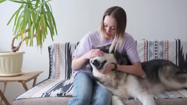 4k. Blanke vrouw huisdier alaskan Malamute honden gezicht met liefde. Binnenshuis. — Stockvideo