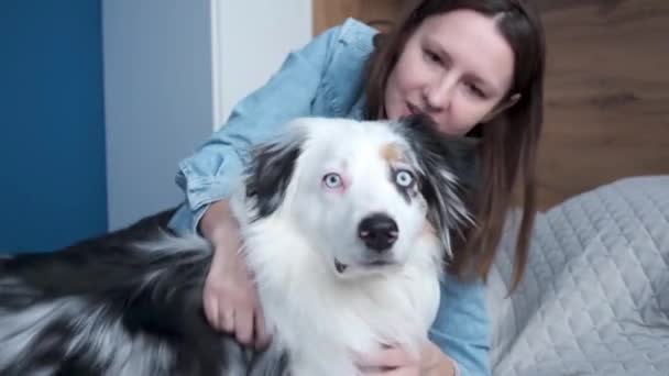 4k. Woman hugs and pet the australian shepherd merle dog lying on the bed — Stock Video