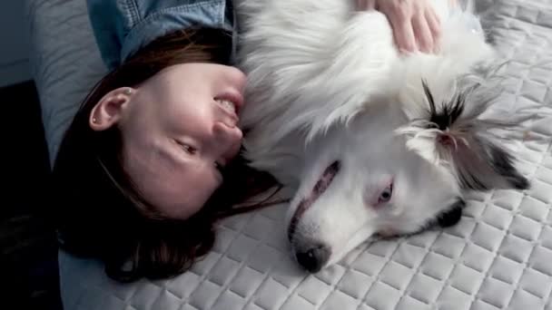4k. Kvinna kramar australiska herde hund liggande på sängen. Ansikte mot ansikte. — Stockvideo