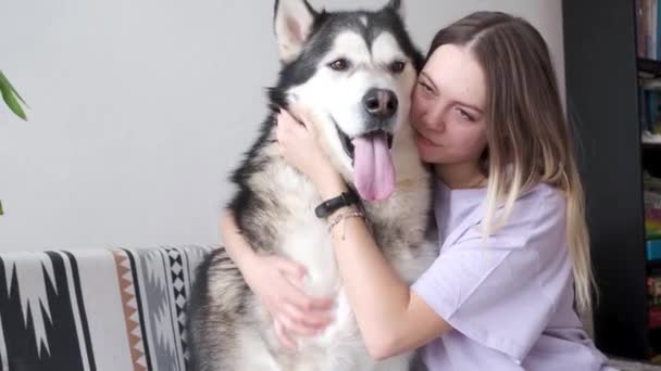 4k. Mulher branca abraçando, beijando o cão Malamute do Alasca com amor. Interior. — Vídeo de Stock