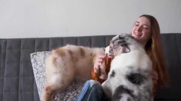4k. Жінка, яка цілує двох мертвонароджених австралійських щенят. — стокове відео