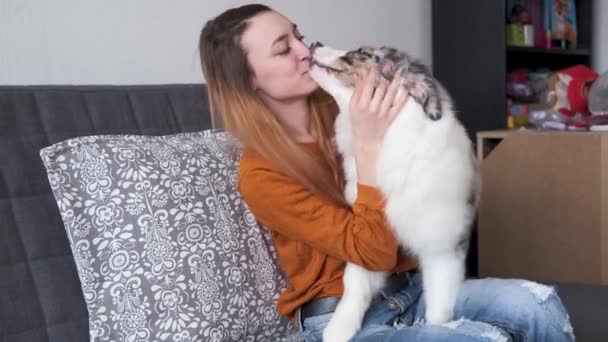 4k. Kvinna som håller kysser blå merle Australian herde valp hund — Stockvideo