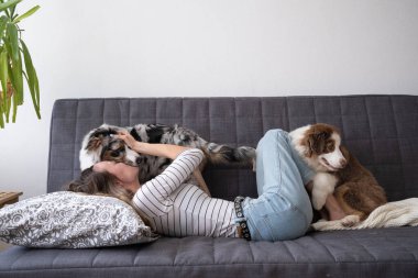  Mutlu kadın iki mavi merle Avustralya çoban köpeği oynuyor kanepede