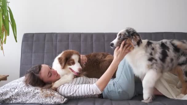 4k. Mulher feliz jogando dois azul merle cão pastor cachorro australiano no sofá — Vídeo de Stock