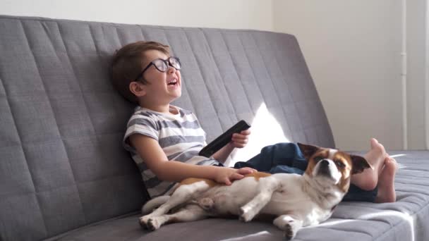 4k. Little exited boy En gafas con perro viendo la televisión en el sofá — Vídeos de Stock