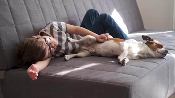 4k. Malý školáček v brýlích se psem ležícím spolu na gauči — Stock video