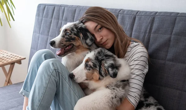 Attraktiv ung kvinna omfamna två blå merle australiska herde valp hund — Stockfoto