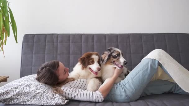 4k. Mujer feliz mintiendo dos azul merle perro pastor australiano en el sofá — Vídeos de Stock