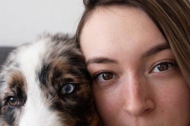Küçük Avustralyalı çoban köpeği mavi köpek yavrusu kadınların yüzü