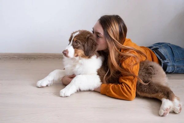 Mujer abrazo beso beatiful pequeño rojo tres colores australiano pastor cachorro —  Fotos de Stock