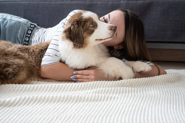 Donna bacio beatiful Piccolo rosso tre colori pastore australiano cane cucciolo — Foto Stock