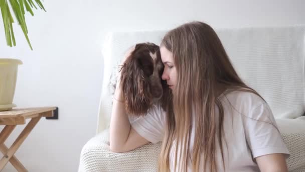 4k. Mujer abrazo beso ruso spaniel perro marrón diferentes colores ojos. Siéntate. — Vídeos de Stock