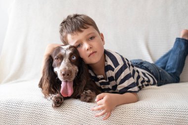 Sevgi dolu küçük bir çocuk Rus spanyel köpeğiyle kucaklaşıyor. Kahverengi gözler farklı renkte. Otur. 