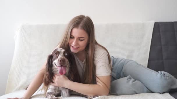 4k. Kvinna husdjur kyss rysk spaniel hund brun olika färger ögon. Sätt dig. — Stockvideo