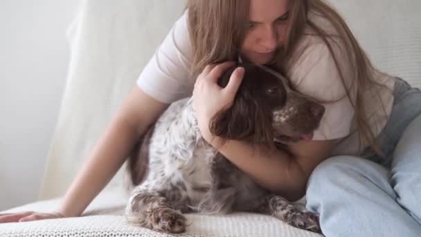 4k. Atractiva joven mujer beso ruso spaniel perro marrón. — Vídeos de Stock