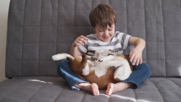 4k. Petit garçon d'âge préscolaire jouer avec le chien ensemble sur le canapé — Video