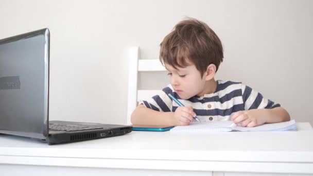 4k. маленький милий білий хлопчик навчається в ноутбуці — стокове відео