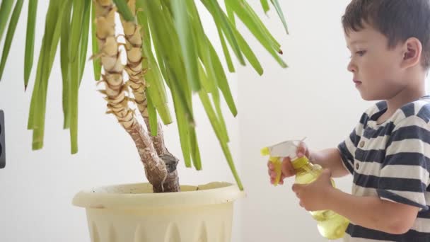 4k. Забавный маленький милый мальчик поливает растение в доме. — стоковое видео