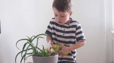 4k. Funny little cute boy watering plant in home.