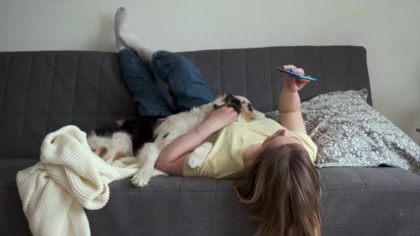 4 bin. Avustralyalı çoban köpeği ve telefonu olan çekici genç bir kadın. — Stok video
