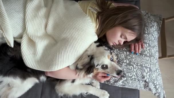 Woman kiss lying with blue merle Australian shepherd dog — Stok video