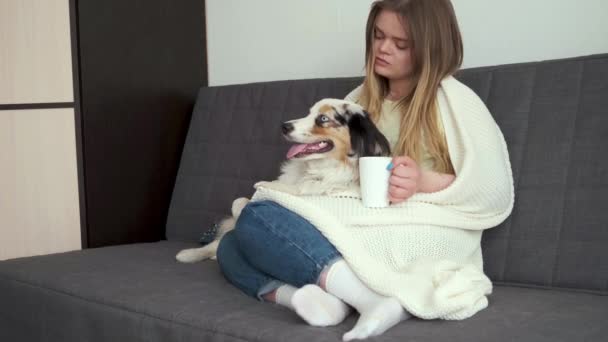 4k. Attraktive Frau mit süßem australischem Schäferhund Blue Merle unter einer Decke — Stockvideo