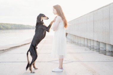 Saluki dog standing with attractive young woman near river bank. close up portrait. 