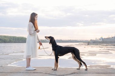 Saluki dog standing with attractive young woman near river bank. close up portrait. 