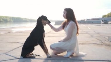 4 bin. Saluki köpeği nehir kıyısında genç ve çekici bir kadınla duruyor.. 