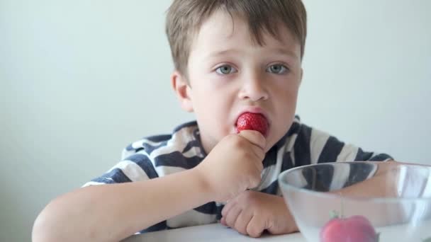 Όμορφο παιδί προσχολικής ηλικίας σε ριγέ t-shirts τρώει φράουλα — Αρχείο Βίντεο