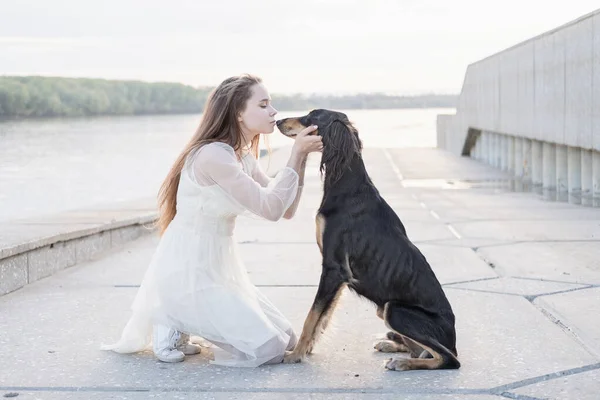 Attrayant jeune femme assise baiser chien saluki près de la rive de la rivière. — Photo