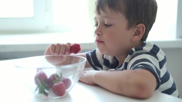 Menino pré-escolar bonita em t-shirts listradas comendo morango — Vídeo de Stock