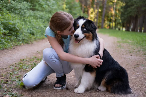 Gadis remaja memeluk mencium australian anjing gembala di musim panas. Berdiri di hutan — Stok Foto