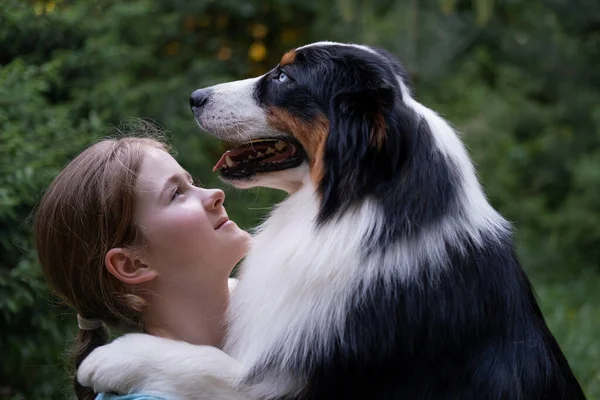 Teenage girl look at australian shepherd dog in summer. Stand in forest — Stock Photo, Image