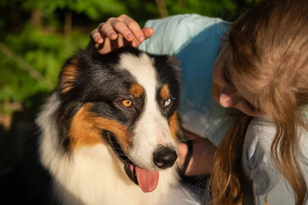 Gadis remaja hewan peliharaan australian anjing gembala di musim panas. di hutan — Stok Foto