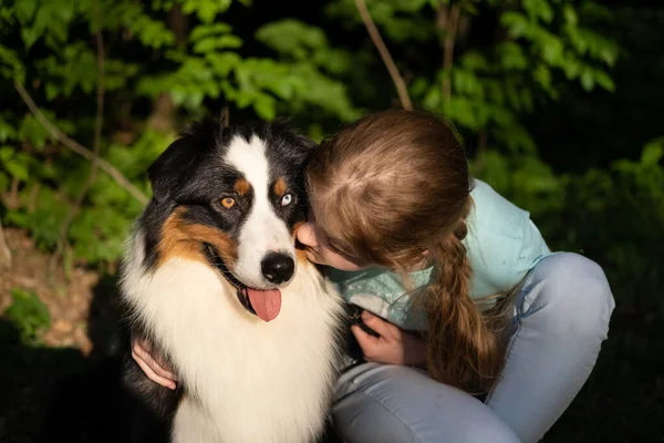 Adolescenta saruta câine ciobanesc australian în timpul verii. În pădure — Fotografie, imagine de stoc