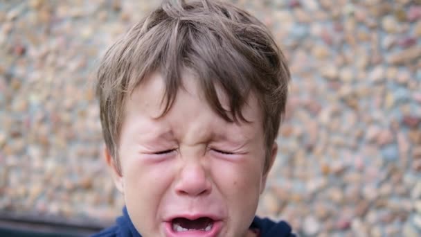 Preescolar lindo caucásico chico llorar — Vídeos de Stock